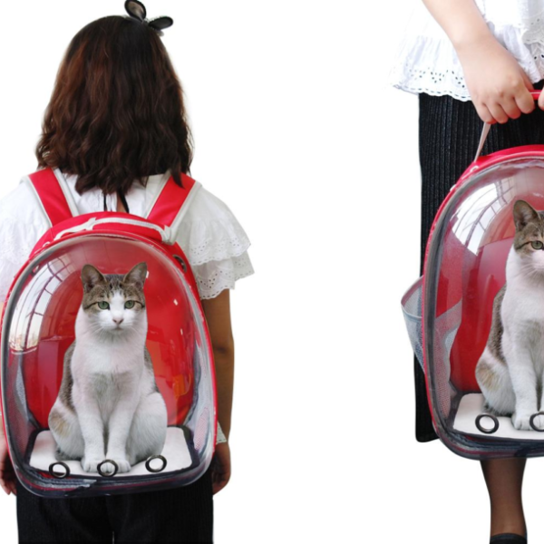 maleta burbuja para gatitos